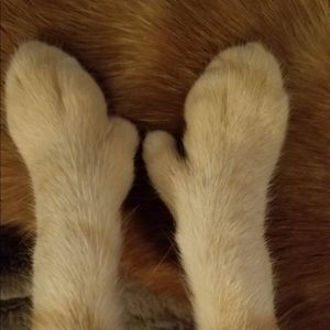 Meet your Posher, Jenny